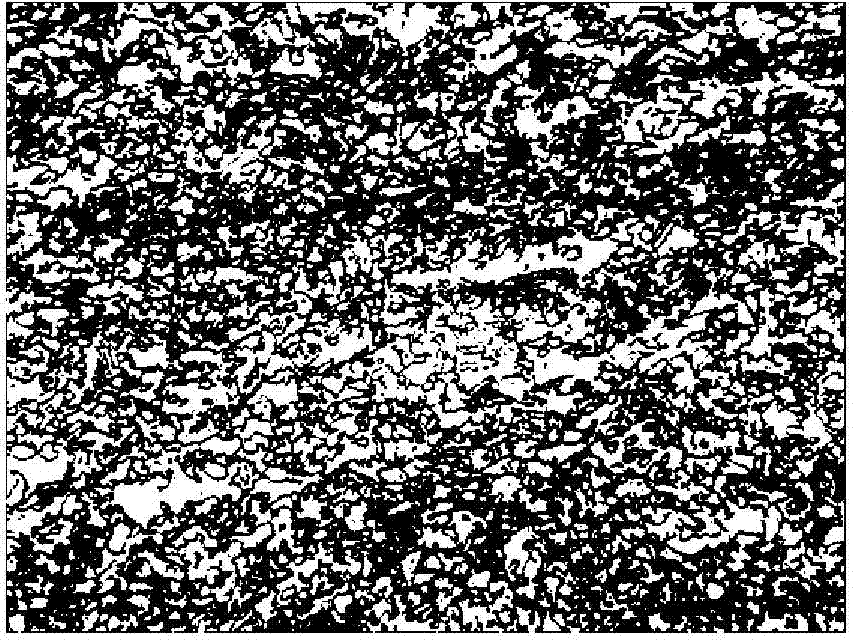 Retained austenite contained dual phase steel color metallography coloring agent and coloring display method