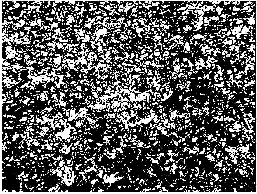 Retained austenite contained dual phase steel color metallography coloring agent and coloring display method