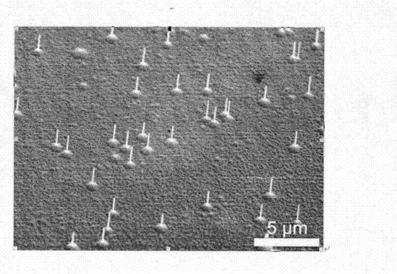 Preparation method of core shell type nanowire