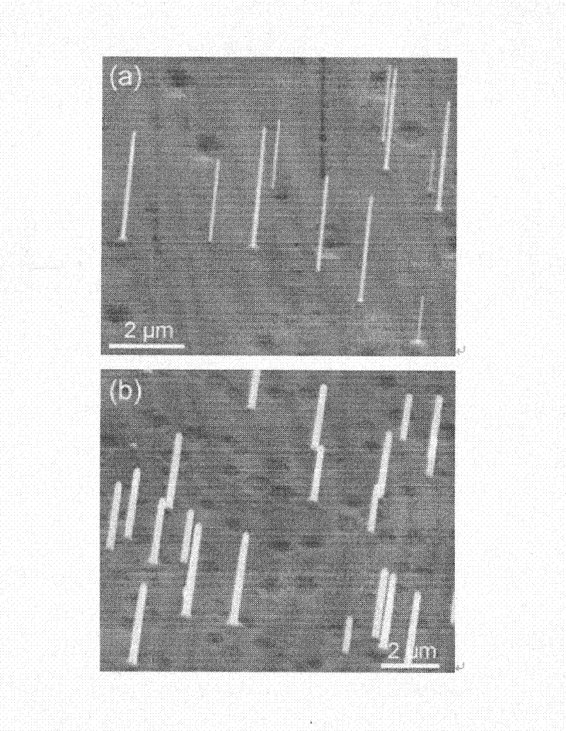 Preparation method of core shell type nanowire