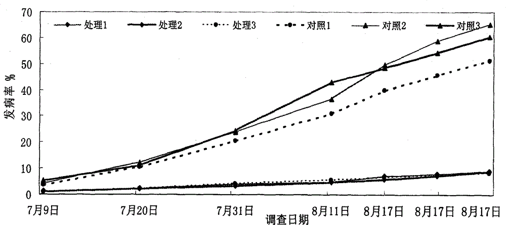 Planting method for controlling pimento epidemic diseases by interplanting field of pimento with garlic