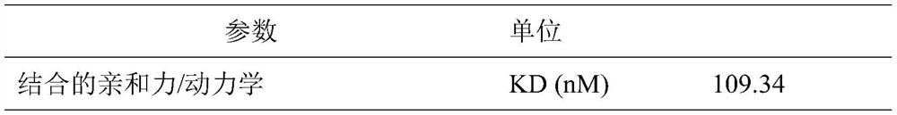 Anti-jellyfish toxin nanobody COZO32, preparation method and application