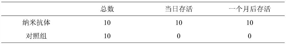 Anti-jellyfish toxin nanobody COZO32, preparation method and application