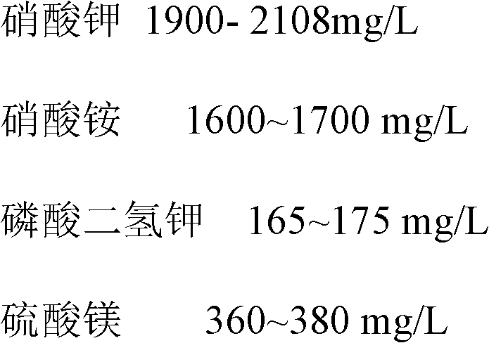 Solid culture medium for callus seedlings of stem tips of potatoes