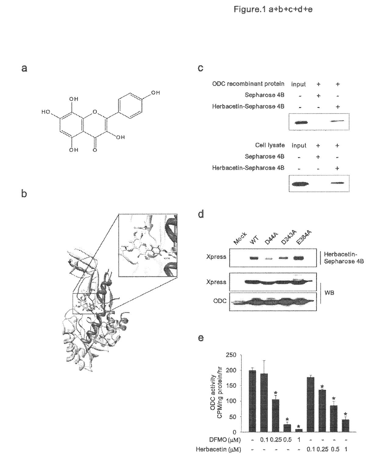 Methods of treating cancer with herbacetin