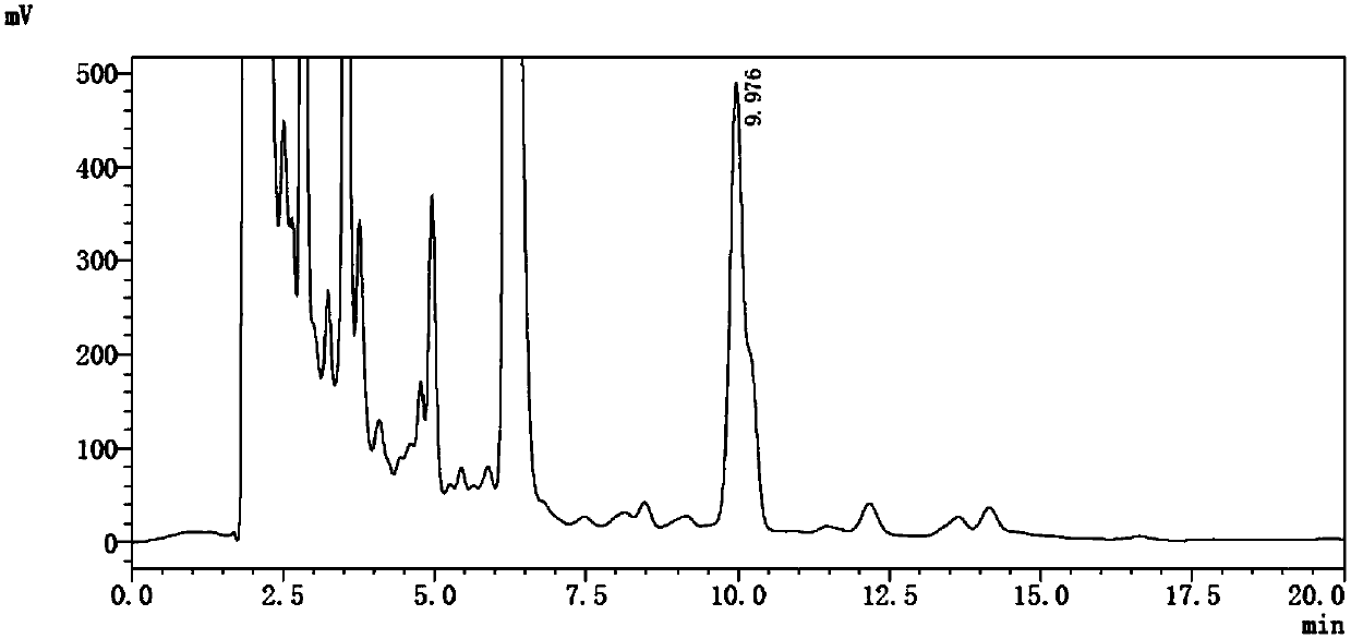 Sulforaphen extraction process