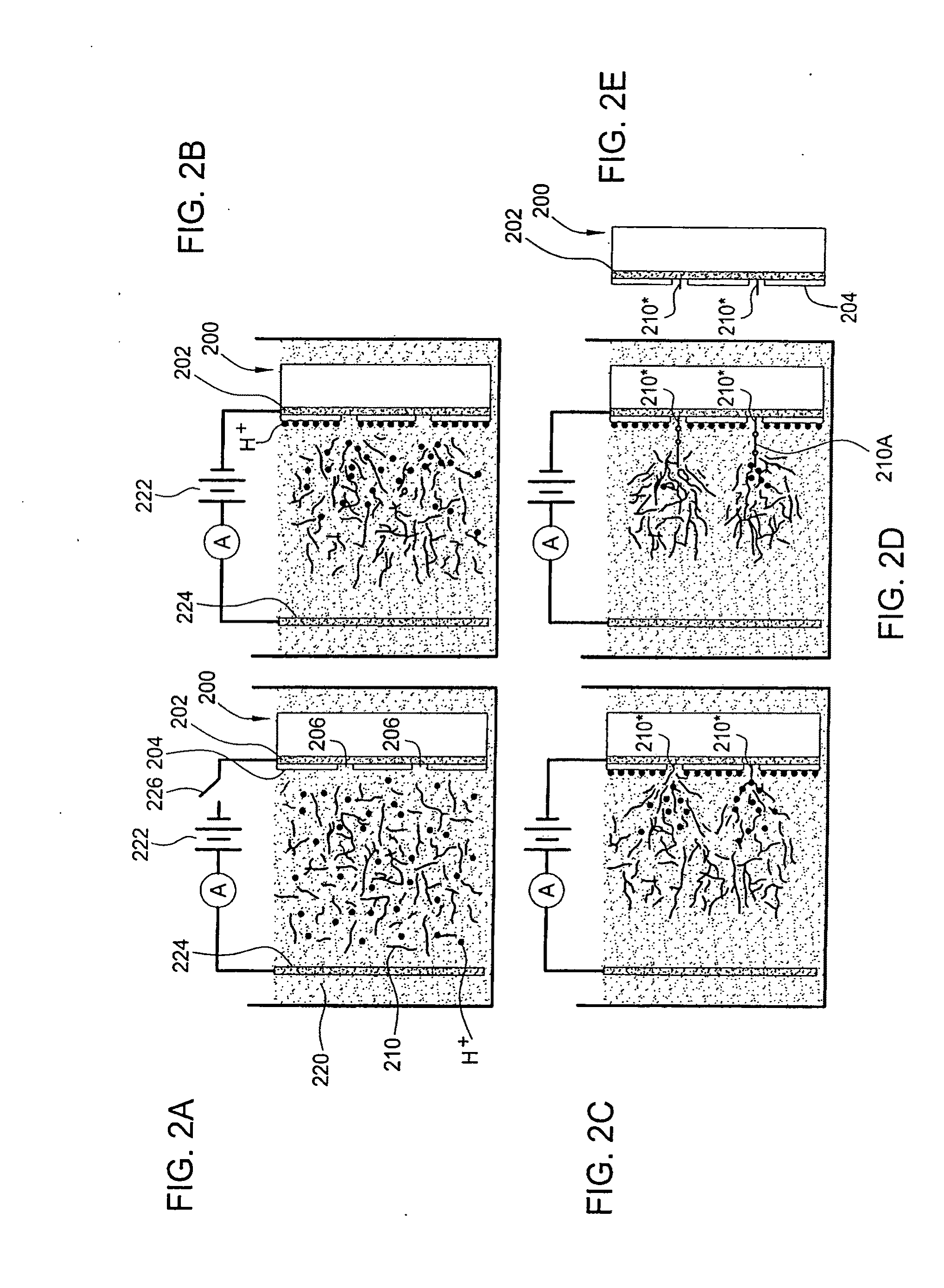 System and Method for Directed Self-Assembly Technique for the Creation of Carbon Nanotube Sensors and Bio-Fuel Cells on Single Plane