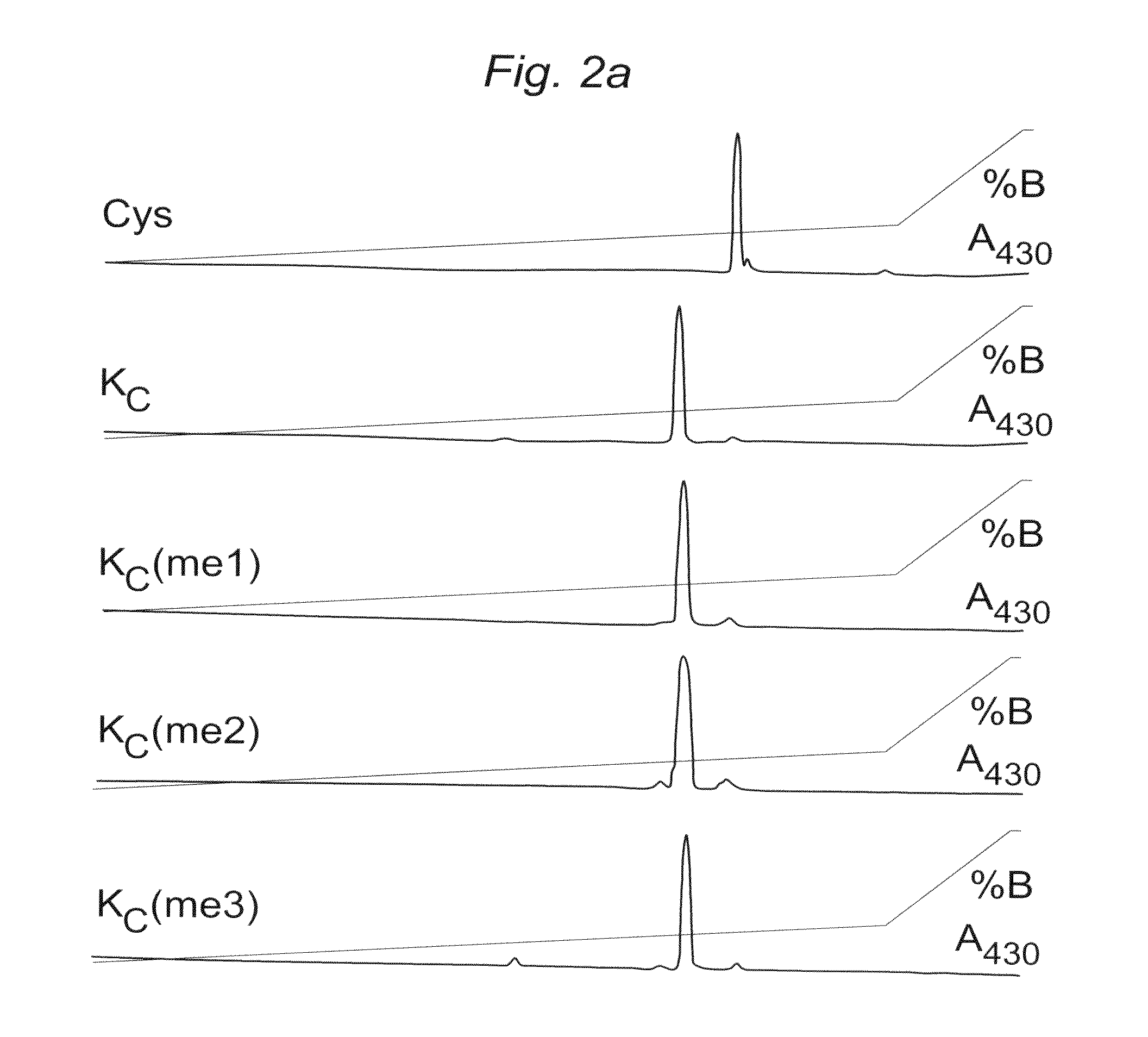 Site-specific installation of methyl-lysine analogues into recombinant histones