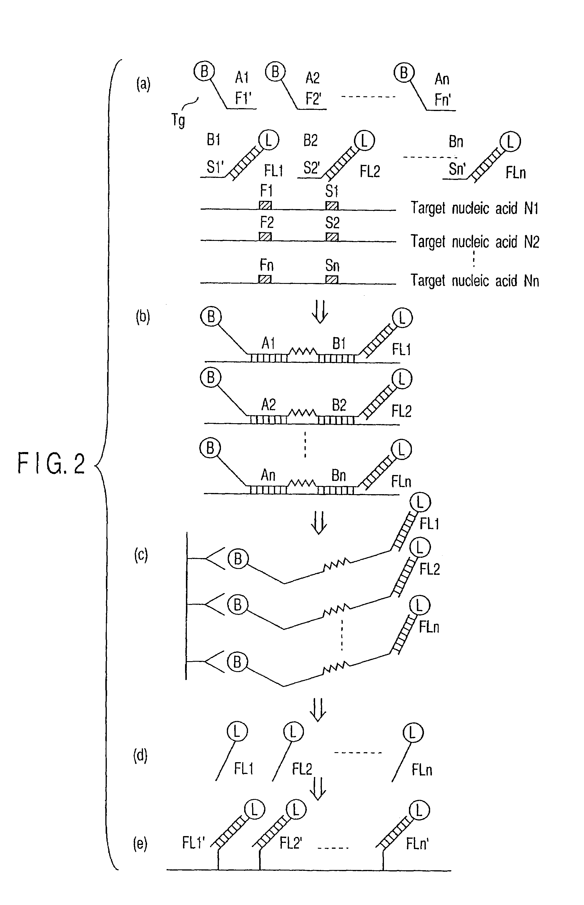 Method of detecting nucleic acid