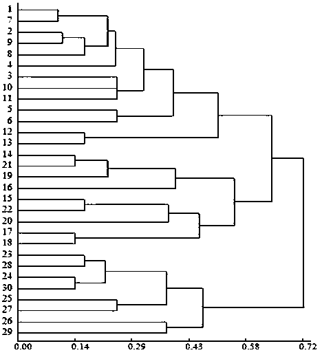 Cucurbita moschata transcriptome simple sequence repeat (SSR) molecular marker primer and application thereof