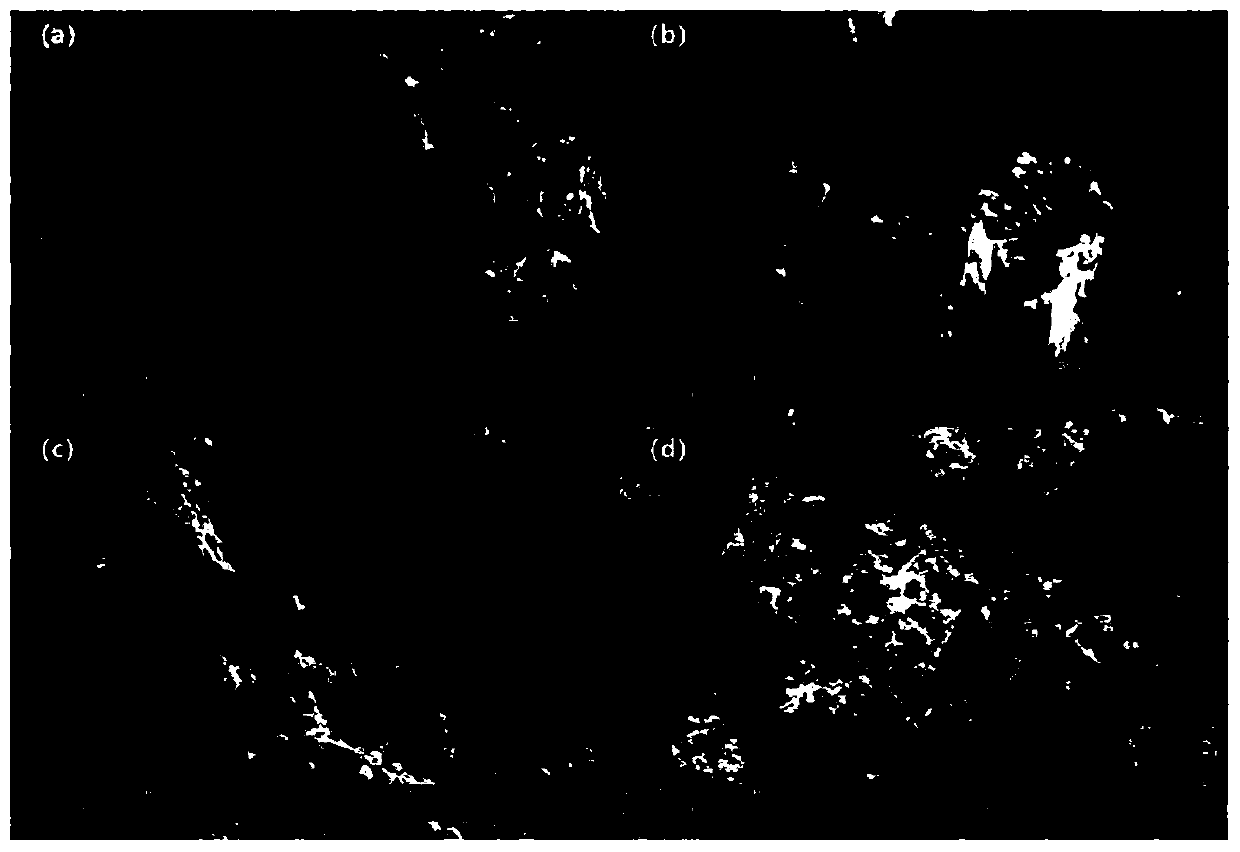 Manganese dioxide-magnetic biochar composite catalyst as well as preparation method and application thereof