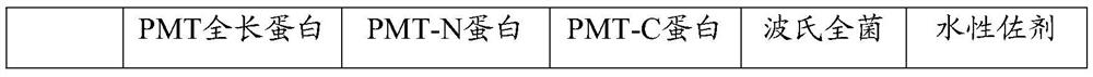 Protective antigen protein of porcine toxigenic pasteurella multocida as well as application and vaccine of protective antigen protein