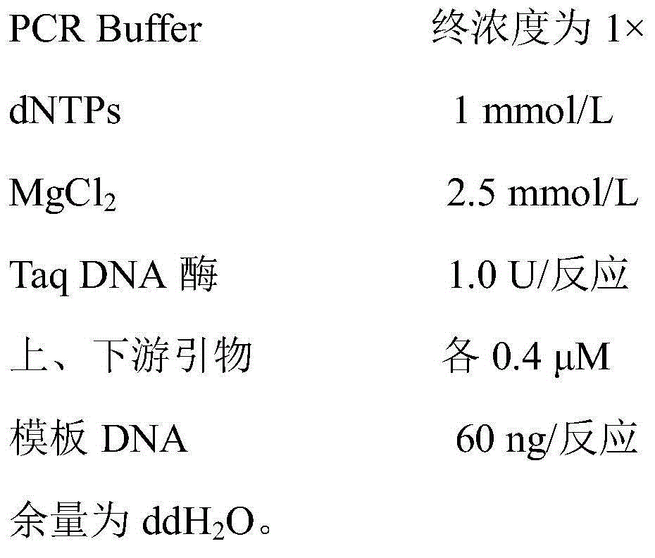 Specific marker primers for sakura varieties including Plena Rosea, Sakuyahime and Ujou-shidare