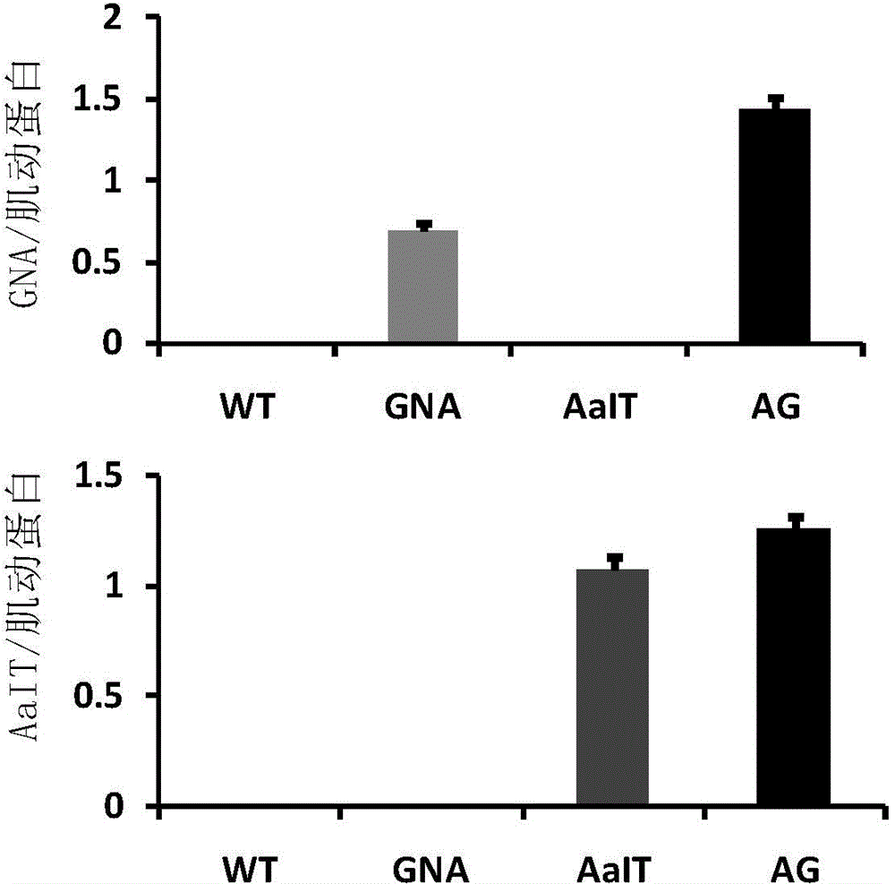 Fusion protein for improving insect resistance of plants and application thereof