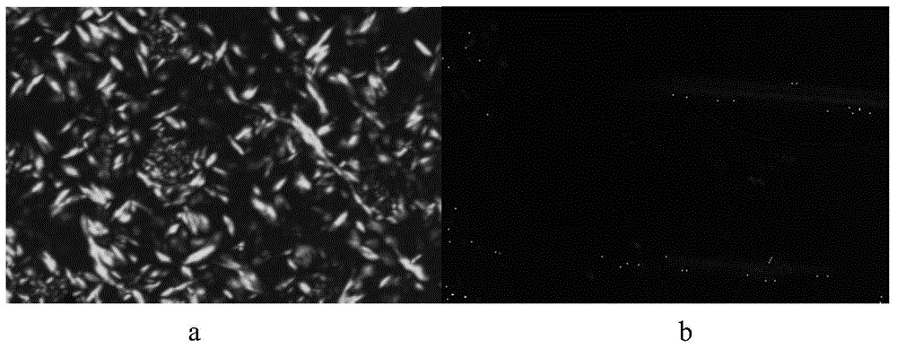 Liquid crystal polymer with ion groups and preparation method for liquid crystal polymer