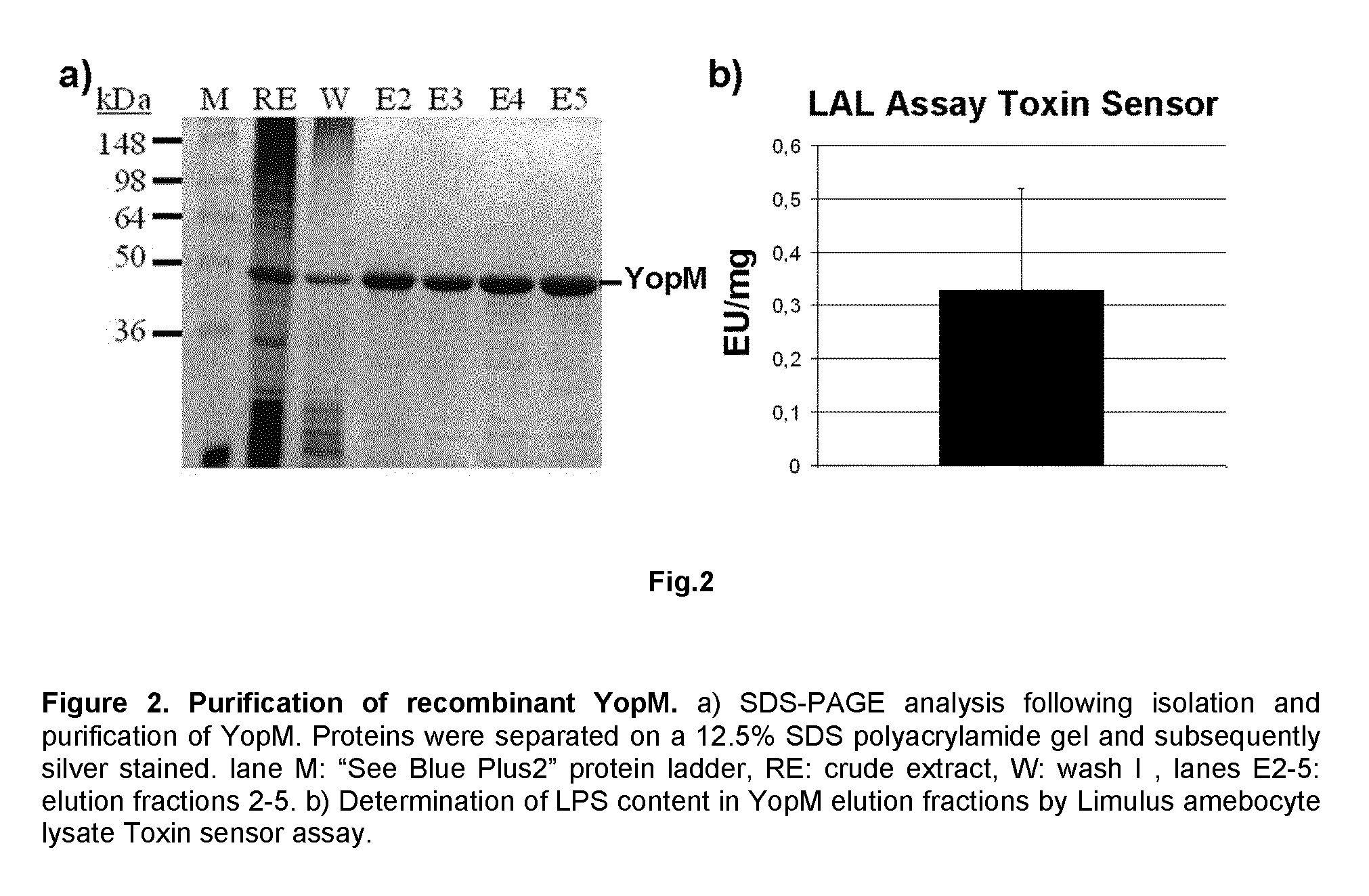 <i>Yersinia </i>outer protein M (YopM) in the treatment of psoriasis