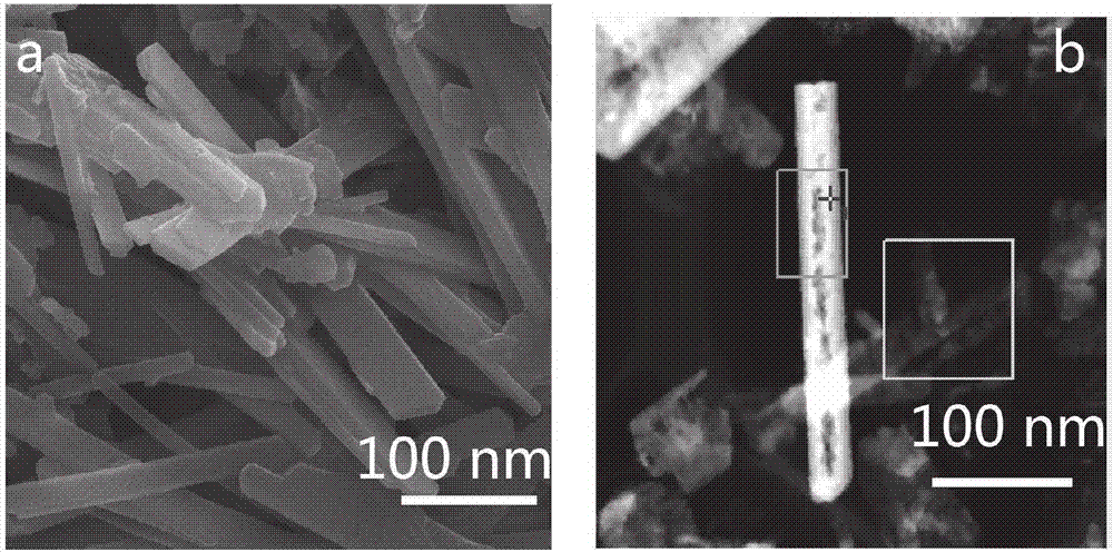 Zinc sulfide nano-belt, preparation and application thereof in preparing anode material of lithium sulfur battery