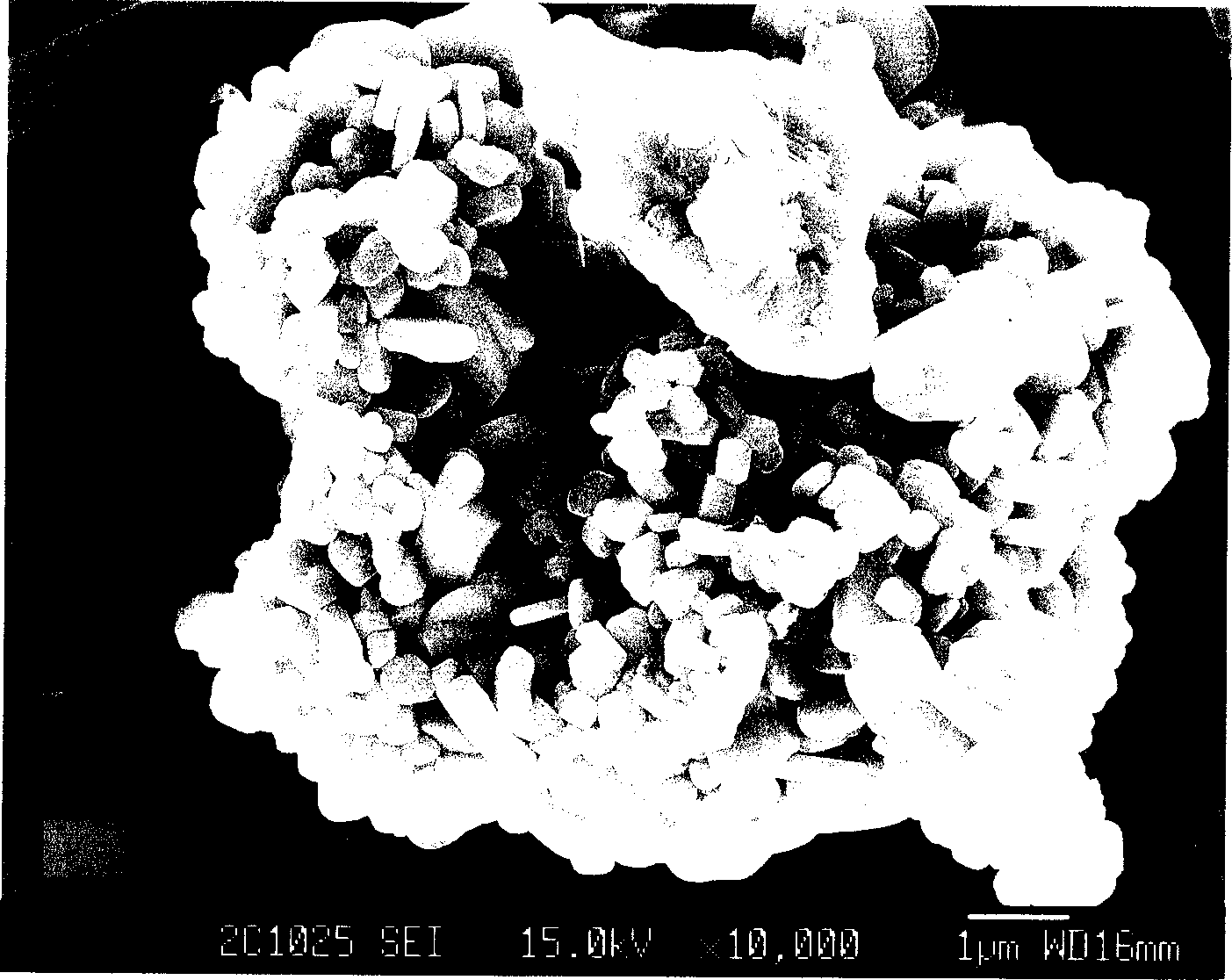 Lithium ion positive electrode material and preparation method thereof