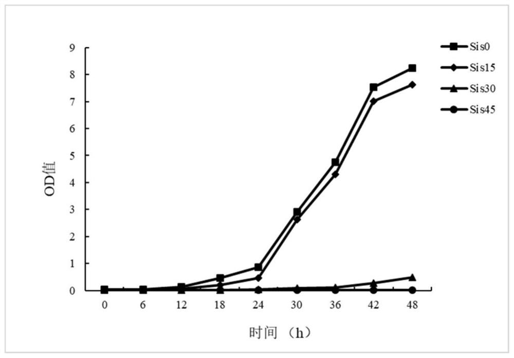 A method for improving sugarcane resistance to smut