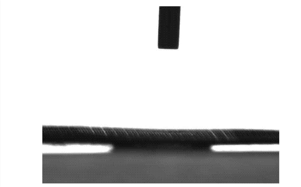 Super-hydrophobic and super-oleophylic oil-water separating mesh membrane and preparation method thereof