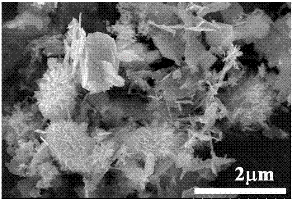 Bismuth oxybromide visible-light-induced photocatalyst and preparation method thereof