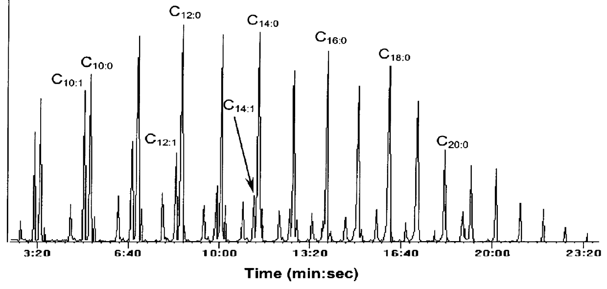 Blended compression-ignition fuel containing light synthetic crude and blending stock