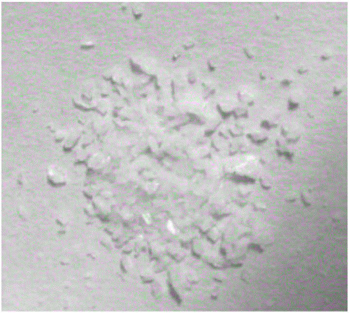 Fullerenes complex and application of fullerenes complex in removing free radical in smoke