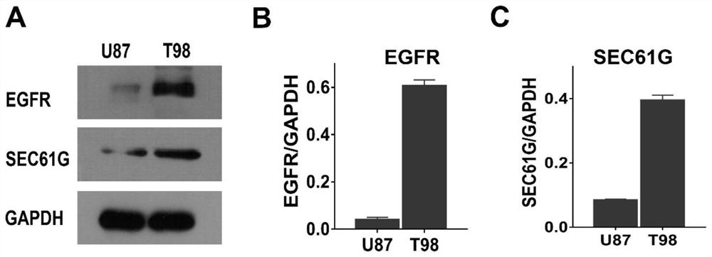 A dual-target multimodal molecular imaging probe and its preparation method and application