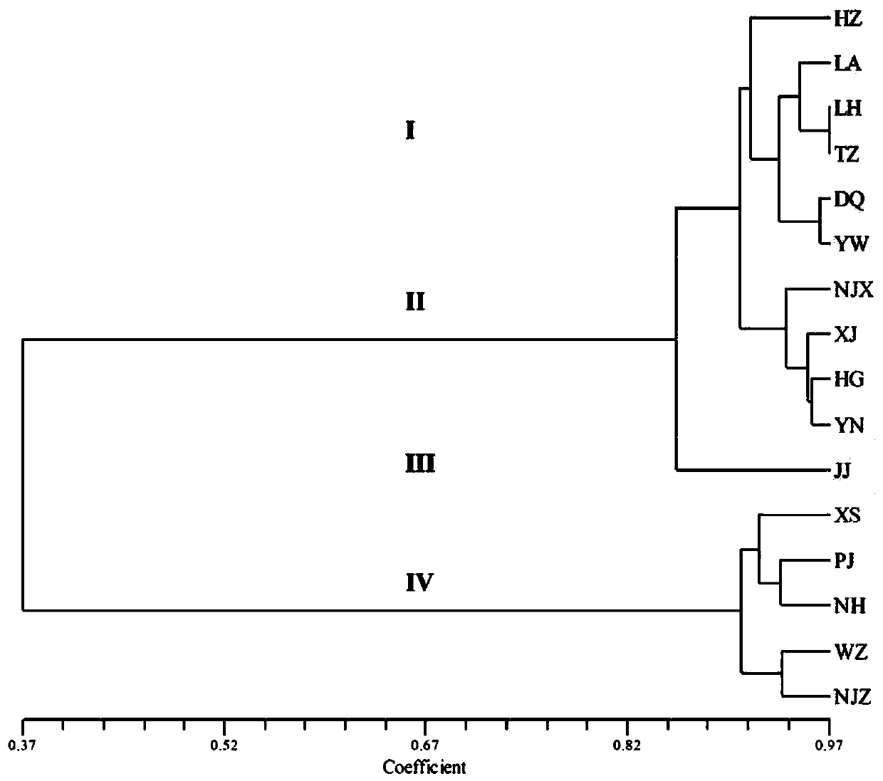 Physalis angulata cpSSR-labeled primer developed based on chloroplast genome sequence and its application