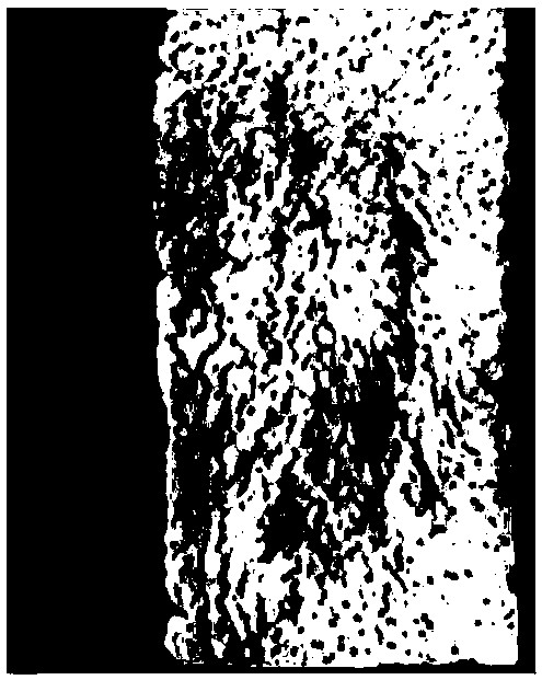 Silicon nitride nano-wire enhanced porous silicon nitride composite material and preparation method thereof