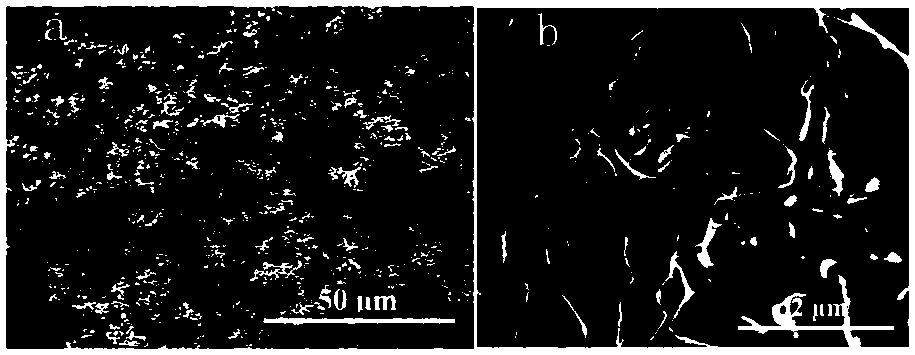 Silicon nitride nano-wire enhanced porous silicon nitride composite material and preparation method thereof