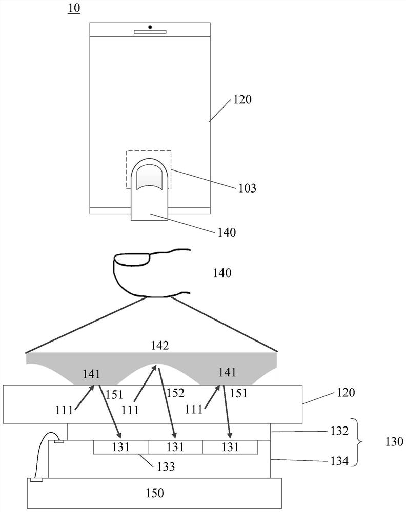 Fingerprint identification device and electronic equipment