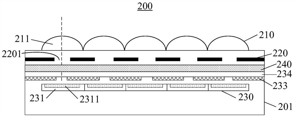 Fingerprint identification device and electronic equipment