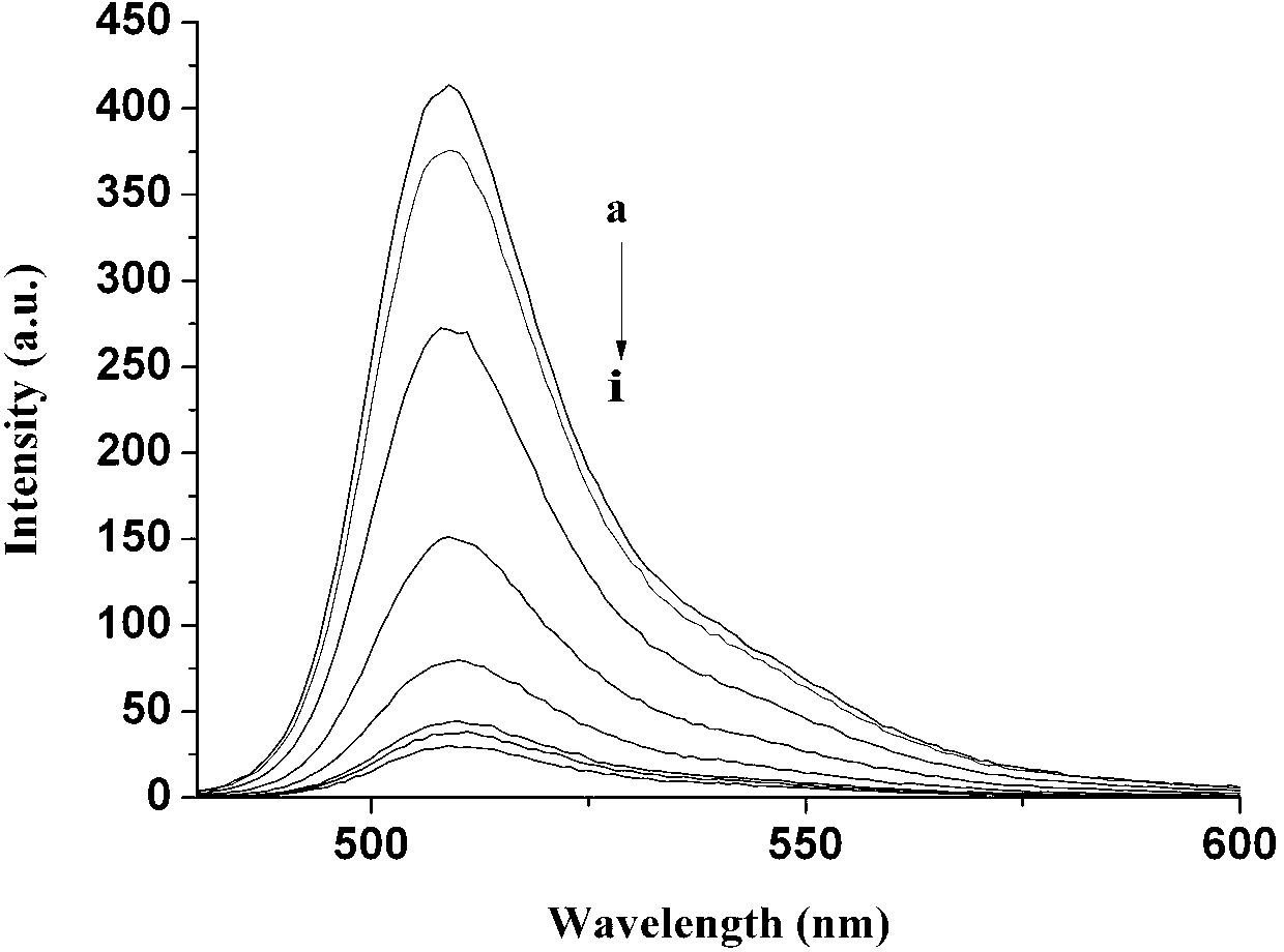 Copper ion fluorescence probe and synthetic method thereof