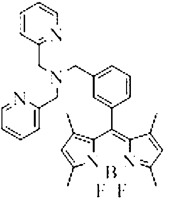 Copper ion fluorescence probe and synthetic method thereof