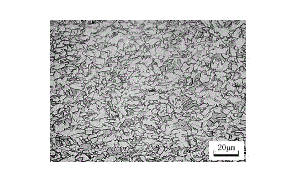 Hot-rolled dual-phase steel in 590MPa tensile strength grade and method for manufacturing hot-rolled dual-phase steel