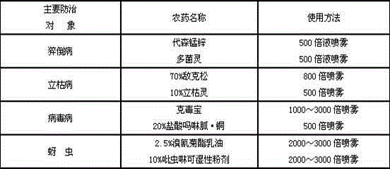 Method for preparing special organic soil for vegetable seedling culture