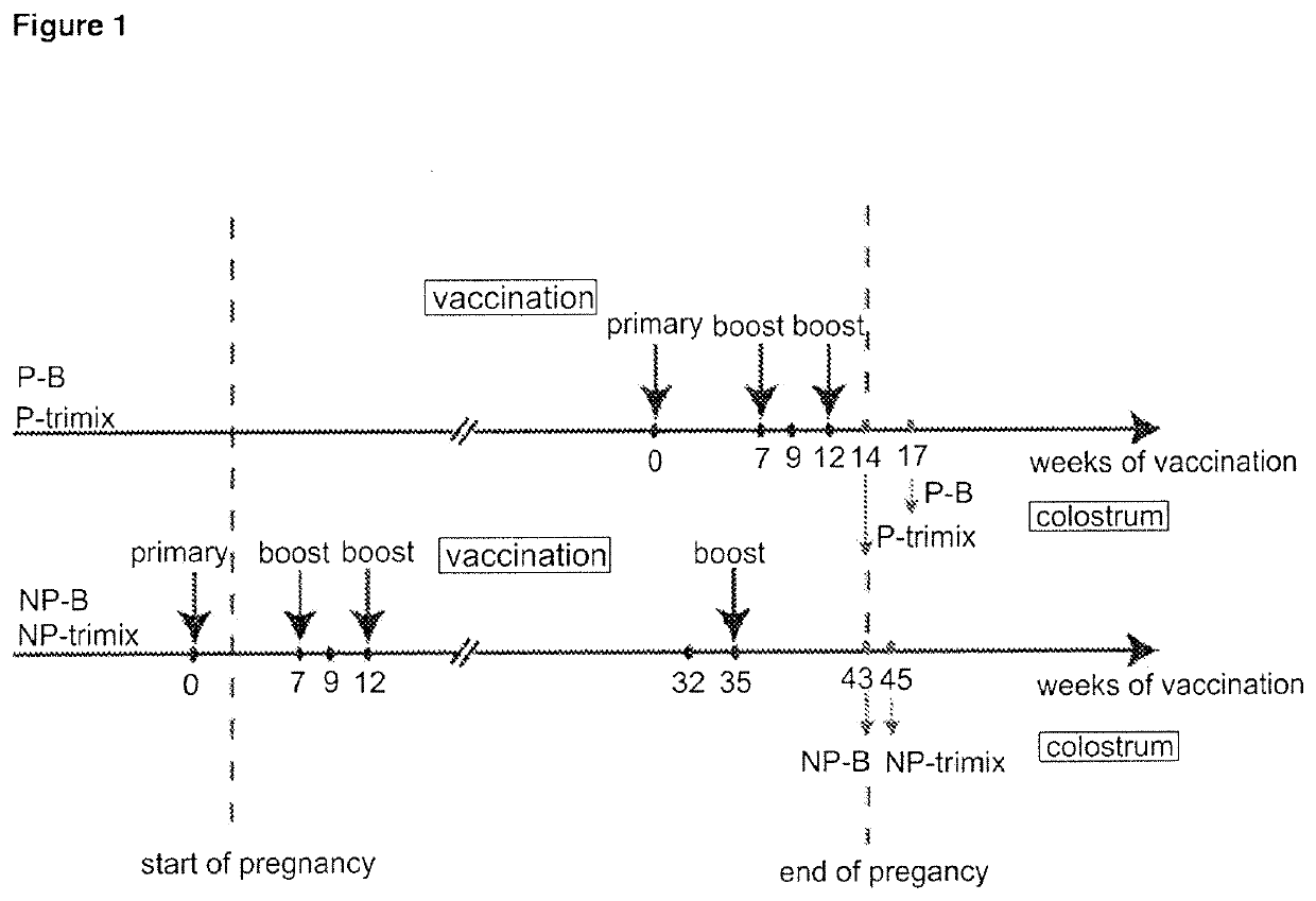 Methods and compositions for inhibiting HIV transmission