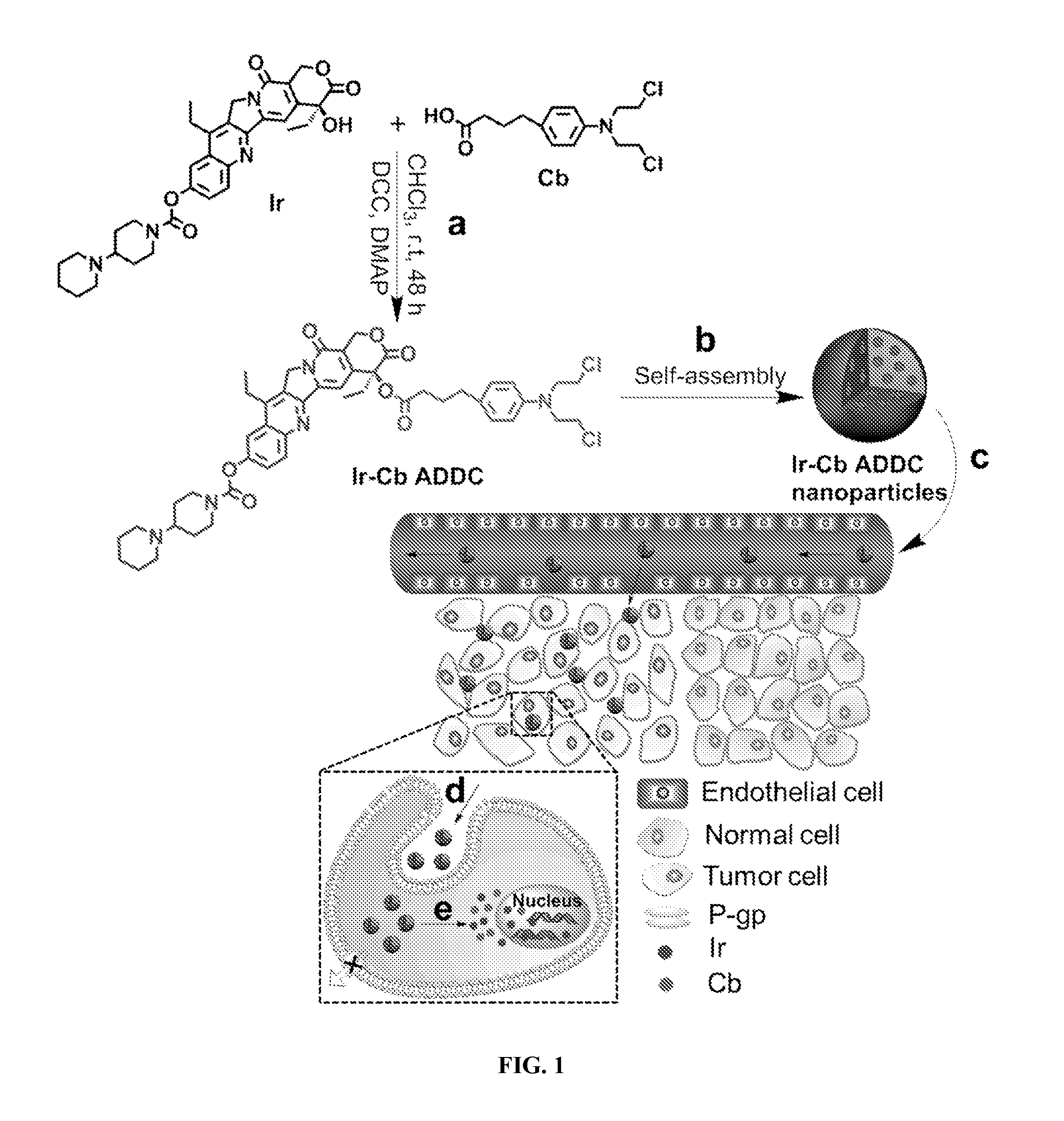 Amphiphilic drug-drug conjugates for cancer therapy, compositions and methods of preparation and uses thereof