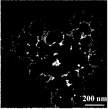 Preparation method of three-dimensional flower-shaped zinc oxide nanomaterial and product obtained therefrom