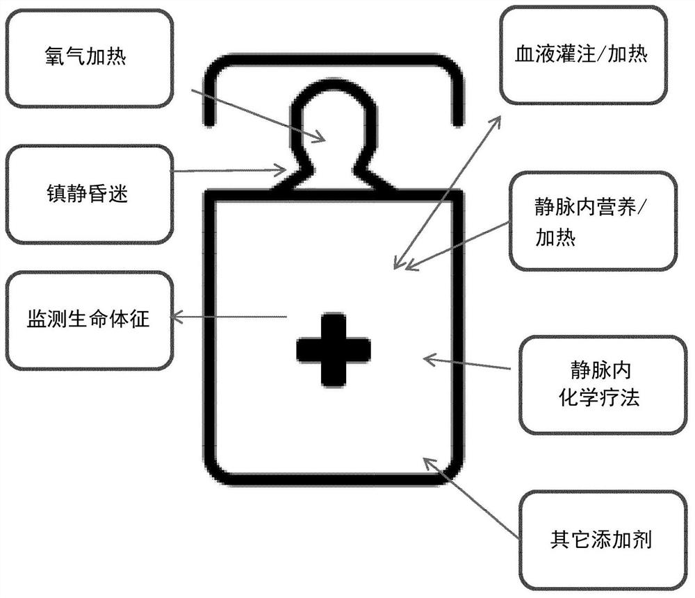 Whole body hyperthermia system