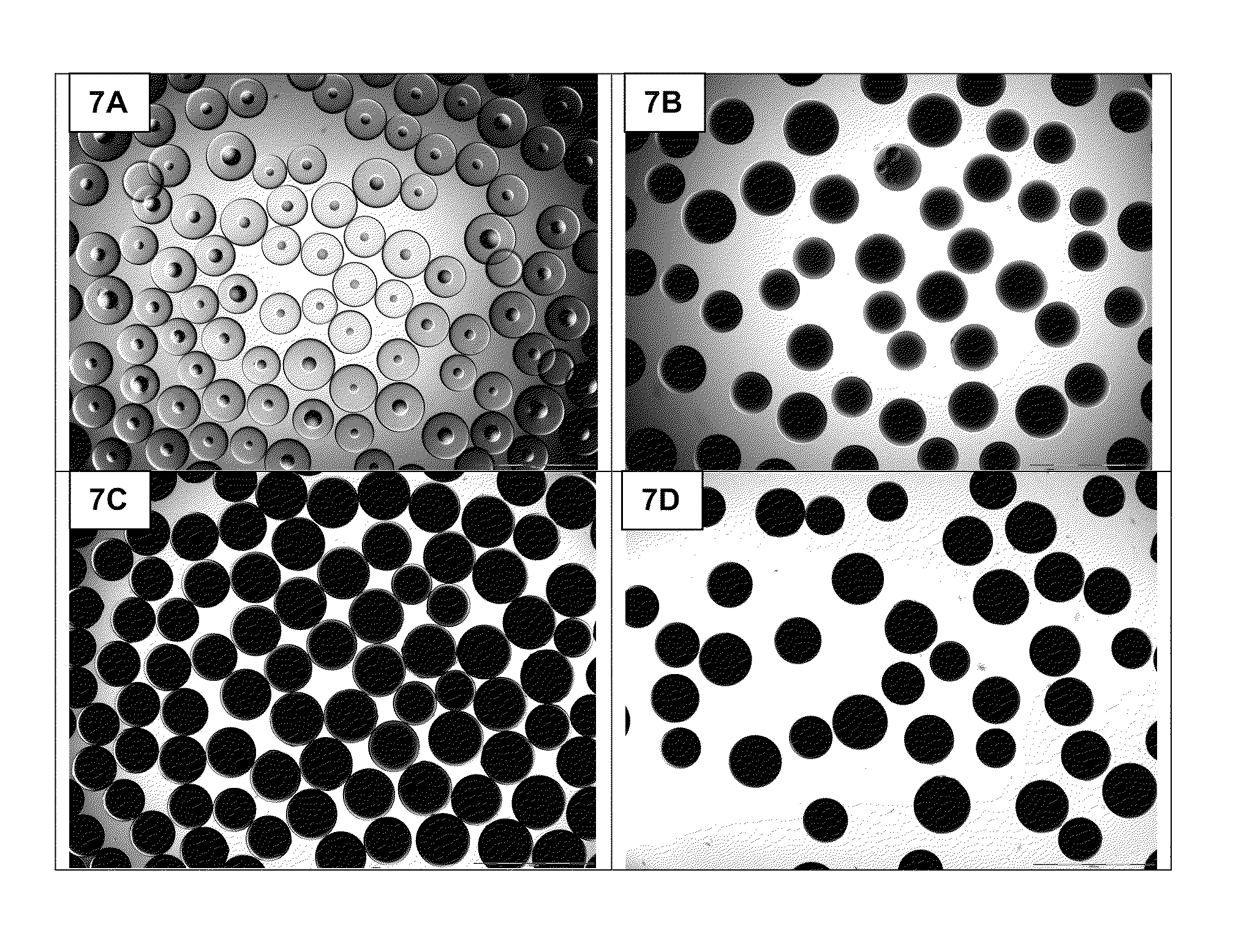 Loading of hydrophobic drugs into hydrophilic polymer delivery systems