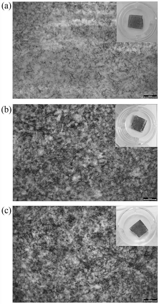 Piezoelectric composite material capable of being subjected to 3D printing/hot press molding and preparation method thereof