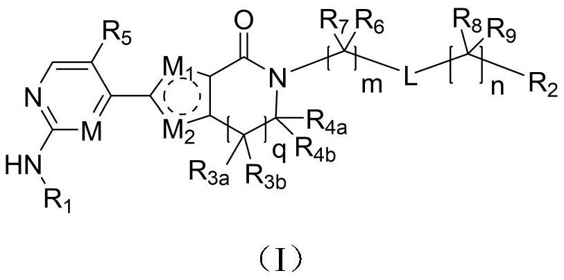 Aromatic heterocyclic lactam compound as well as preparation method and application thereof