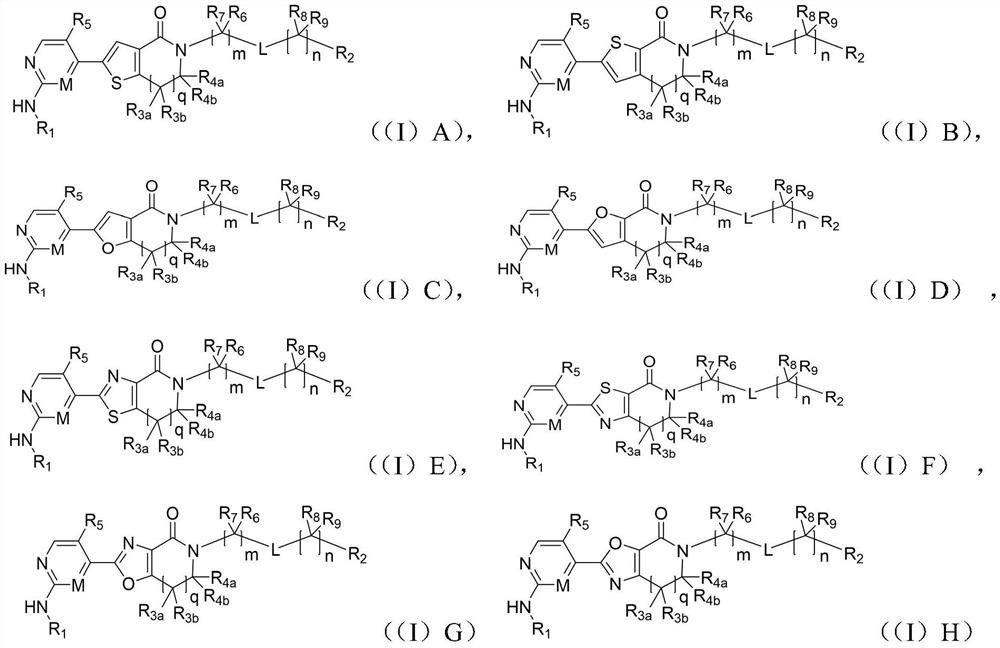 Aromatic heterocyclic lactam compound as well as preparation method and application thereof