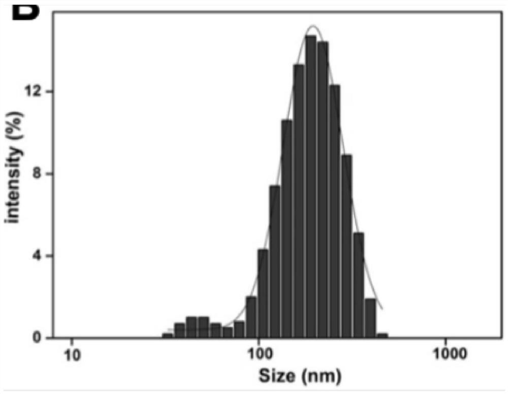 Preparation method of calcium phosphate-rapamycin composite drug, making method of drug coating balloon and drug coating balloon