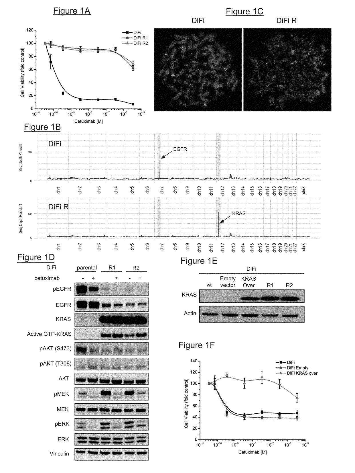 Kras mutations and resistance to Anti-egfr treatment