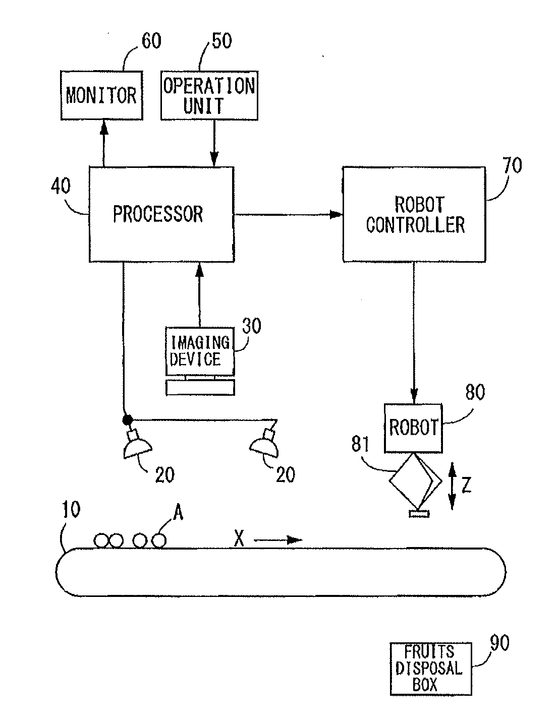 Fruits sorting apparatus and fruits sorting method