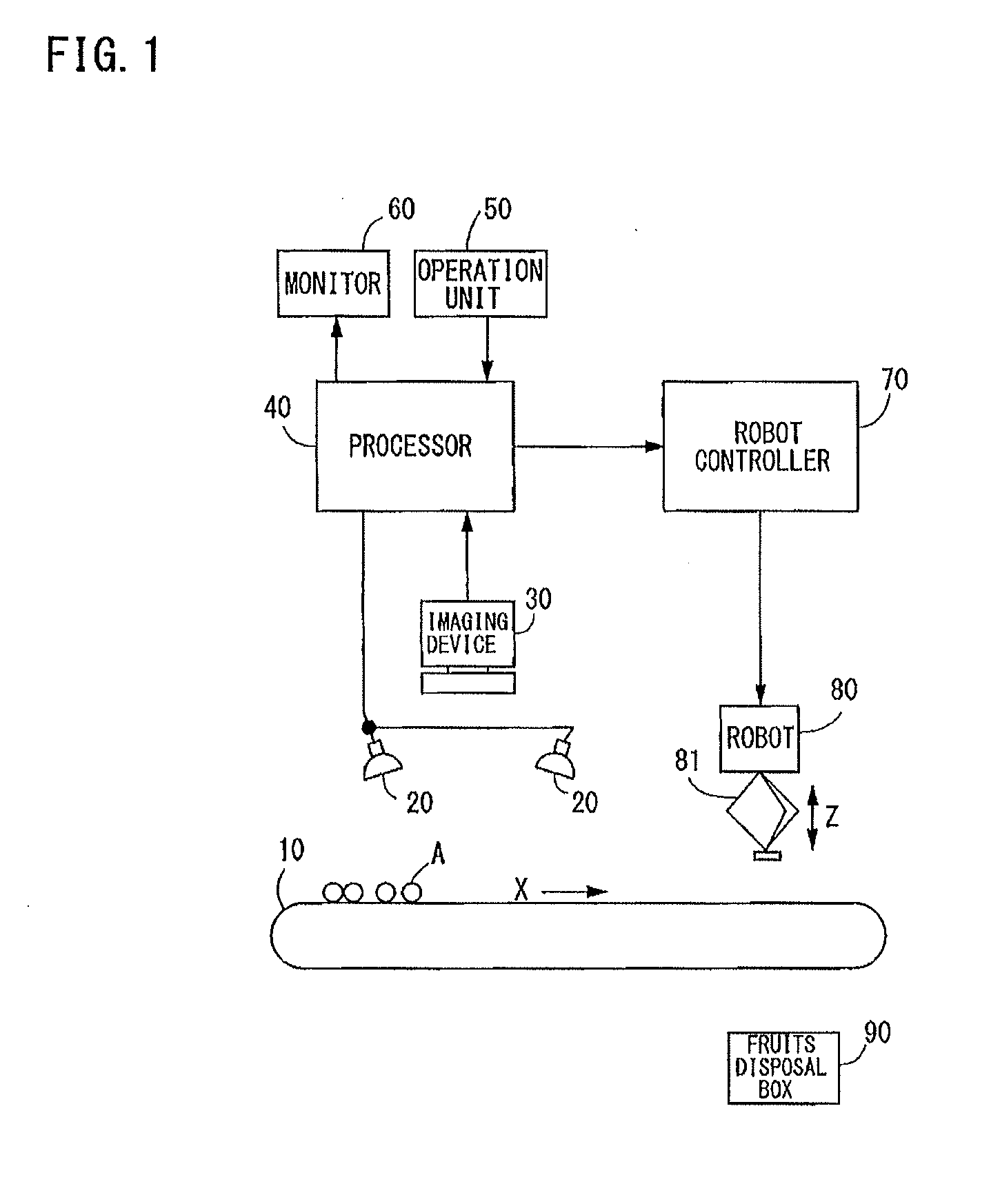 Fruits sorting apparatus and fruits sorting method