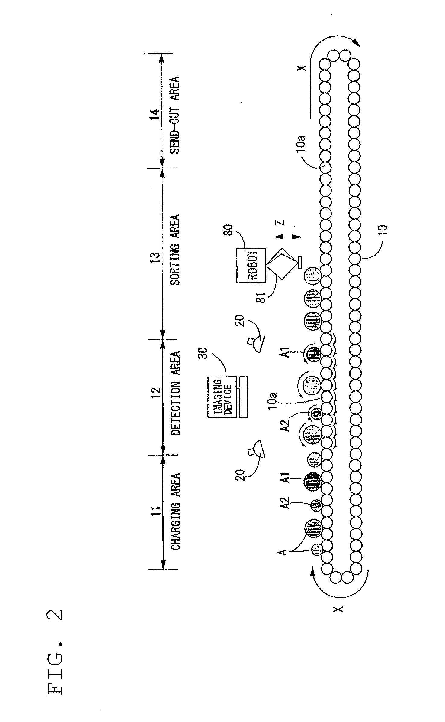 Fruits sorting apparatus and fruits sorting method